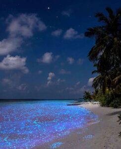 beautiful beaches at night